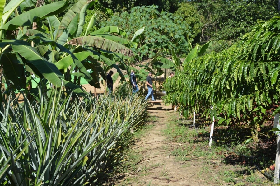 RONDÔNIA RURAL SHOW: Vitrine Tecnológica reforça produção sustentável na agricultura familiar