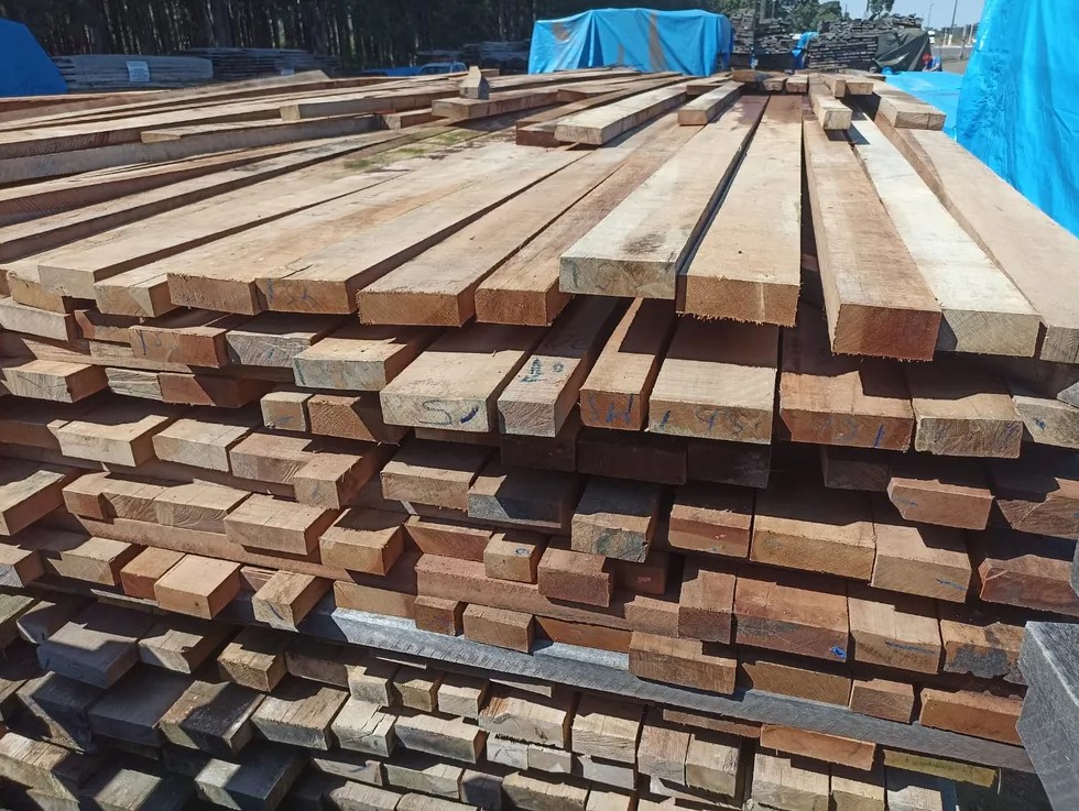 OPORTUNIDADE: PRF abre leilão para madeiras apreendidas em Rondônia