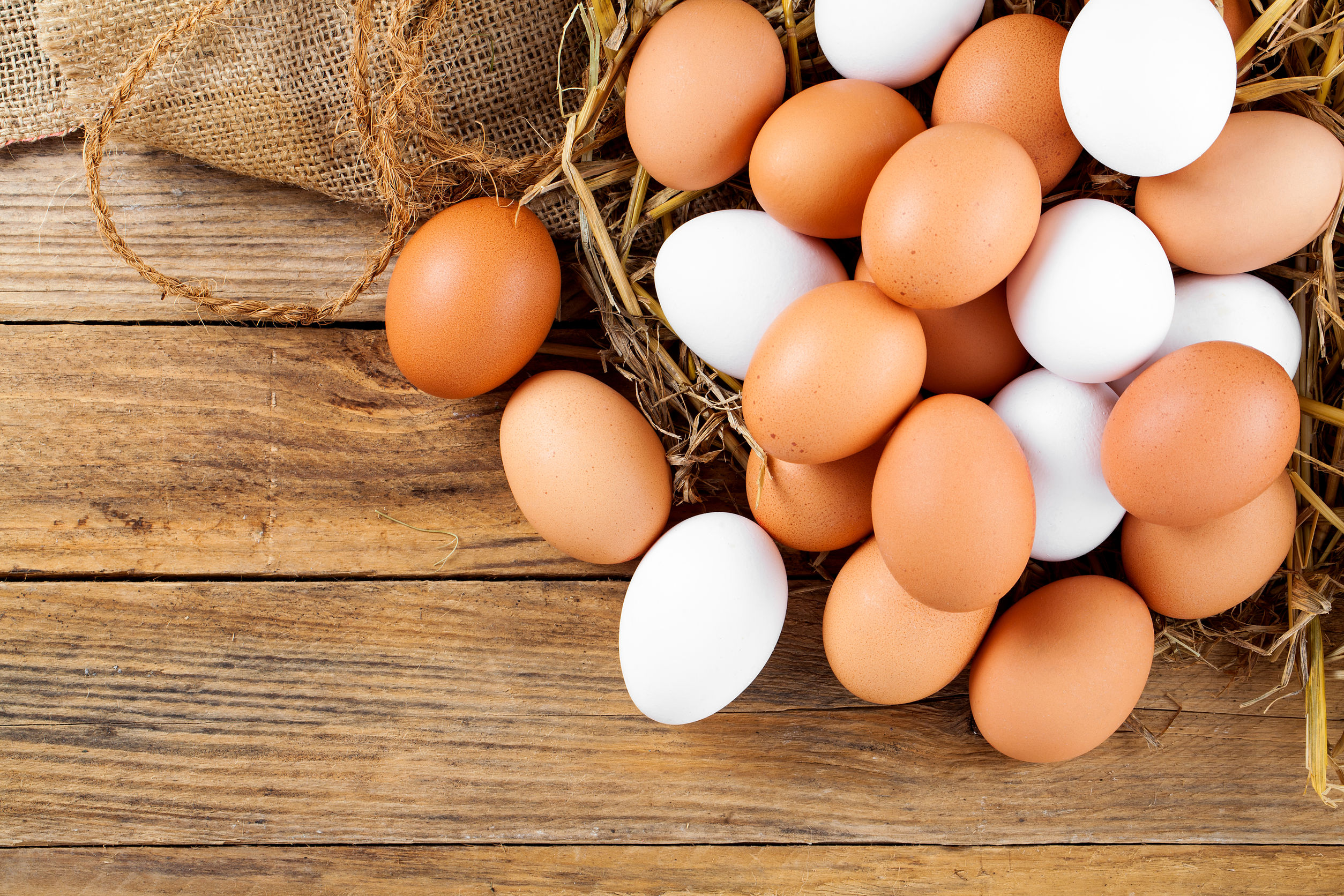 AMOR E ÓD1O: Saiba se comer ovo ainda é saudável e se afeta colesterol