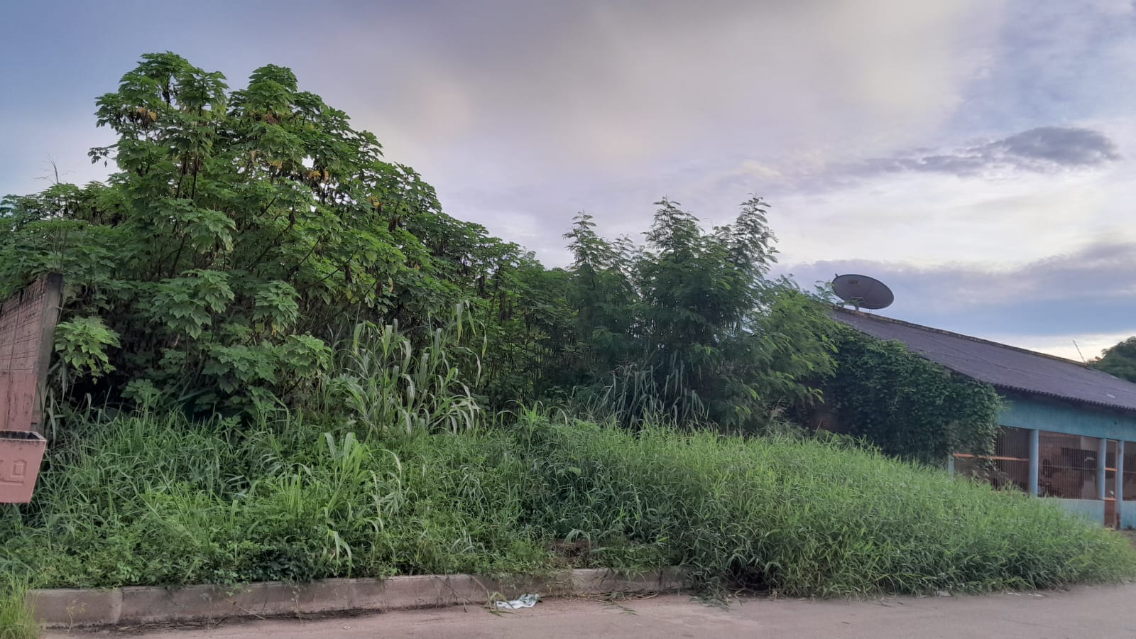 PEDIDO DE PROVIDÊNCIA: Moradores de Cuniã em Porto Velho estão preocupados com terreno baldio
