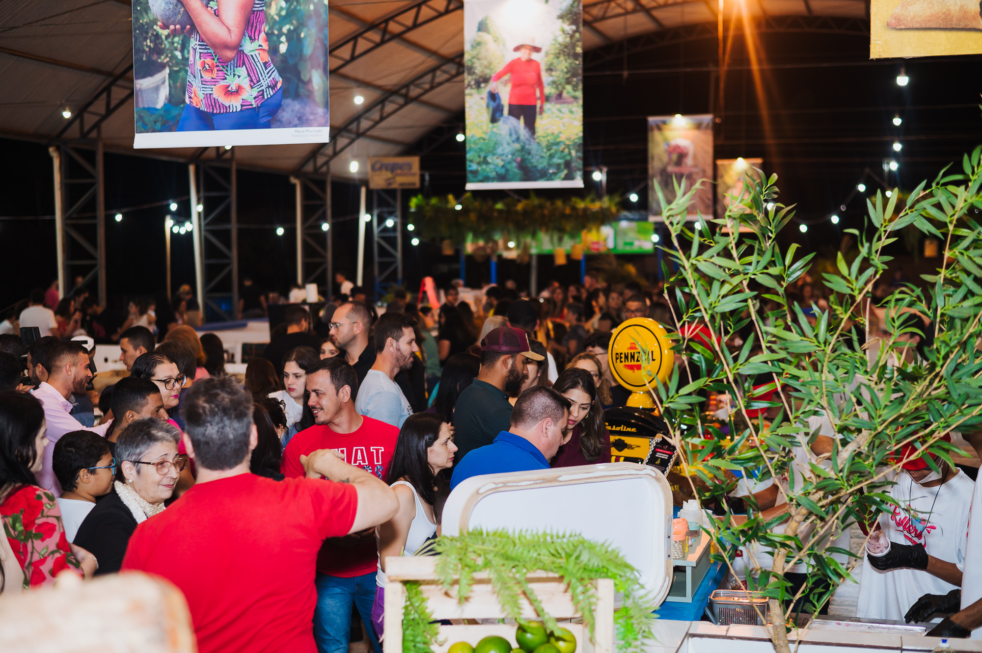 EM JULHO: Diversidade culturaL e gastronômica marcam festival em Vilhena 