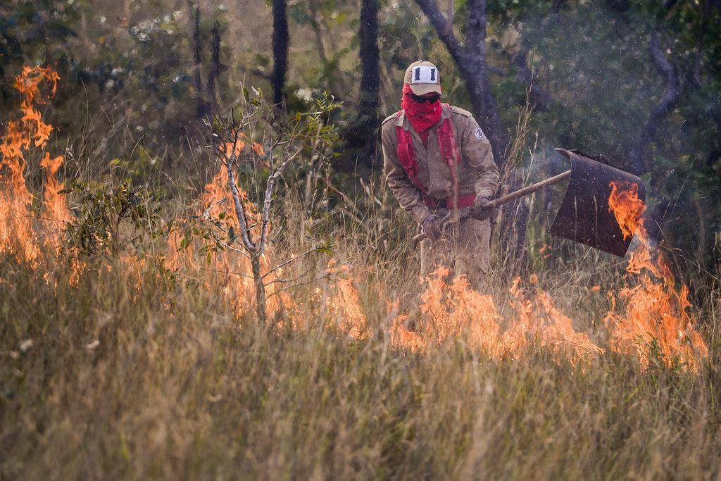 FOGO: Ministério Público solicita plano de prevenção de queimadas em RO