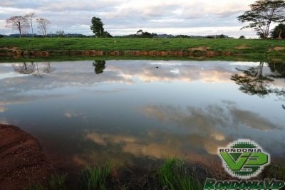 MONTE NEGRO  - Cadáver é encontrado boiando em lagoa 