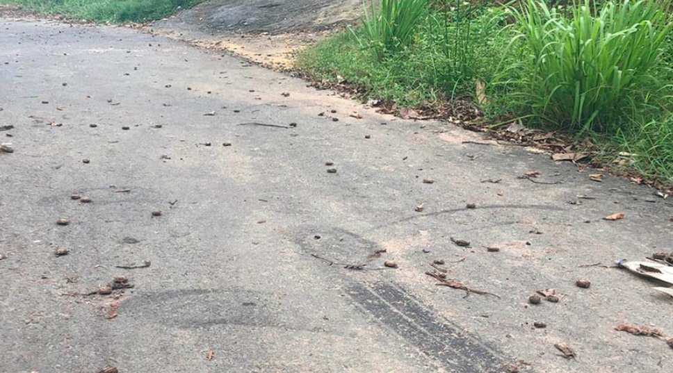 HOMICÍDIO: Motorista de aplicativo entra em rua sem saída e é executado com sete tiros