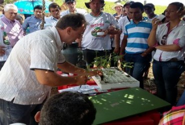 Cultivo de tomate em estufa é destaque durante dia de campo da Emater