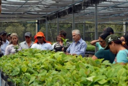 Cafeicultores discutem perspectivas do Café para Rondônia