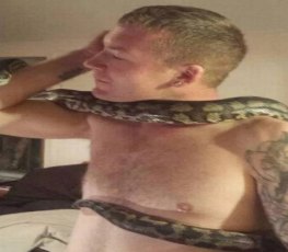 Criador de píton é encontrado estrangulado ao lado de cobra