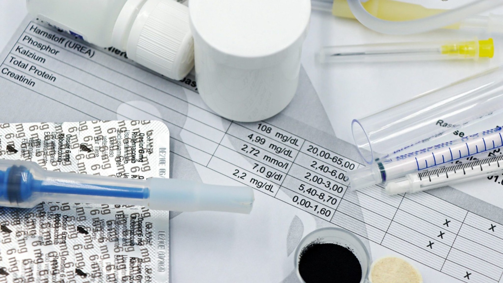 INFLAMAÇÃO: Obesidade é ameaça crescente para pacientes com doenças renais