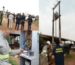 Eletrobras e PM flagram madeireiras com ligações clandestinas