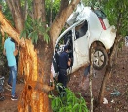 Veículo fica suspenso em árvores após aquaplanagem na RO-479