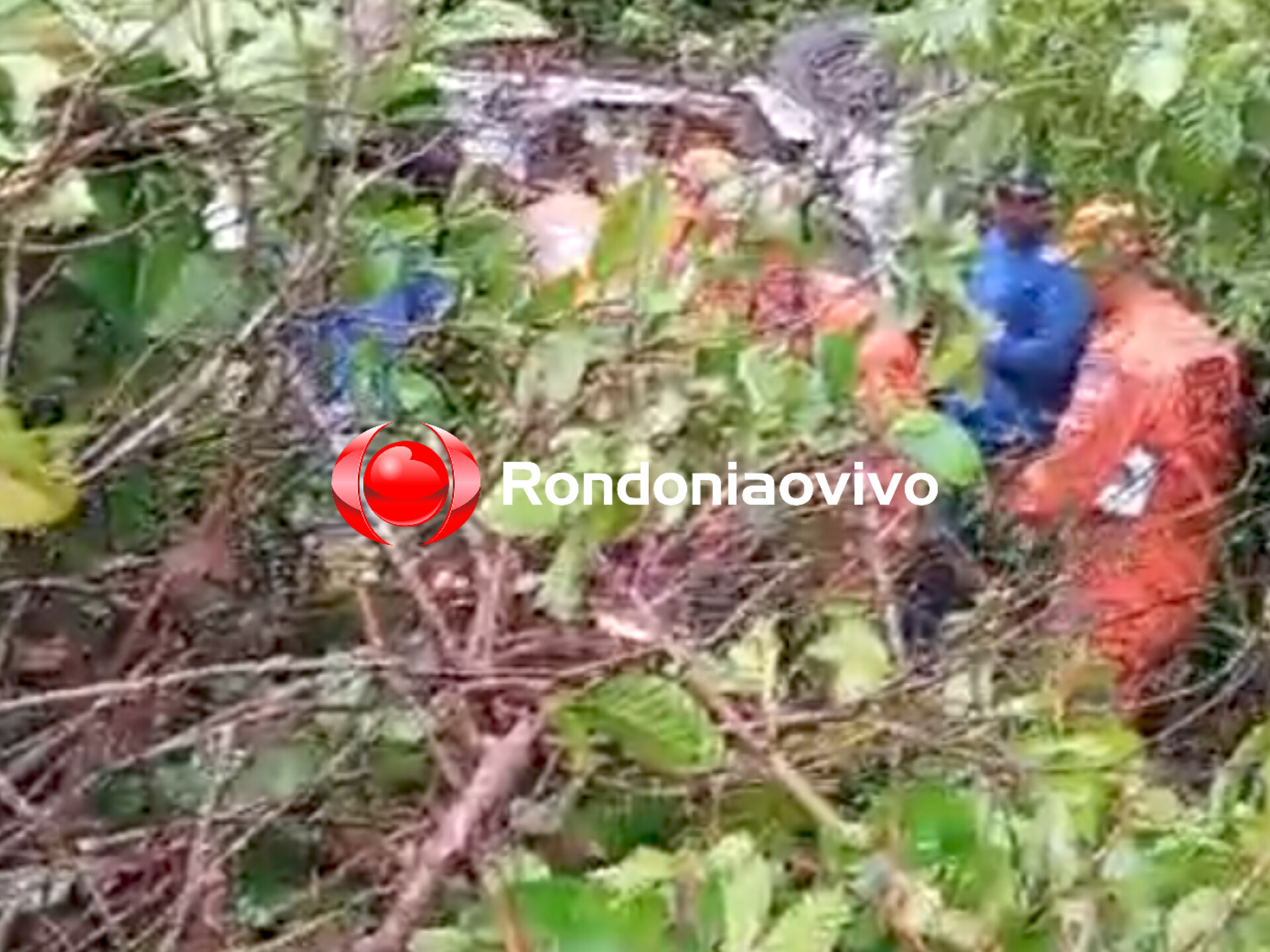 VÍDEO: Grave capotamento de caminhonete deixa feridos na BR -364