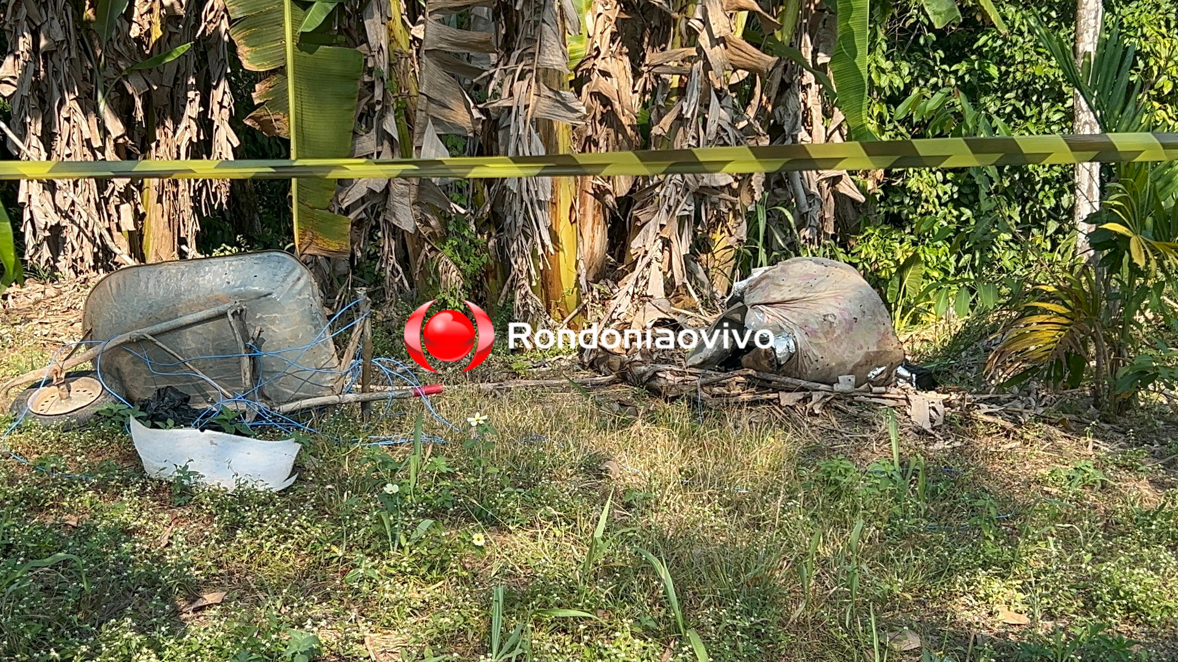 VÍDEO: Corpo em decomposição é encontrado em matagal ao lado de carrinho de mão 