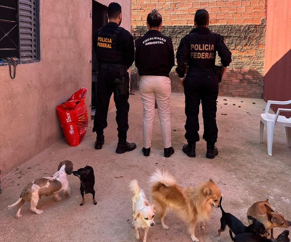 ABOMINATIO: PF prende acusado de abuso infantil e maus tratos a animais 