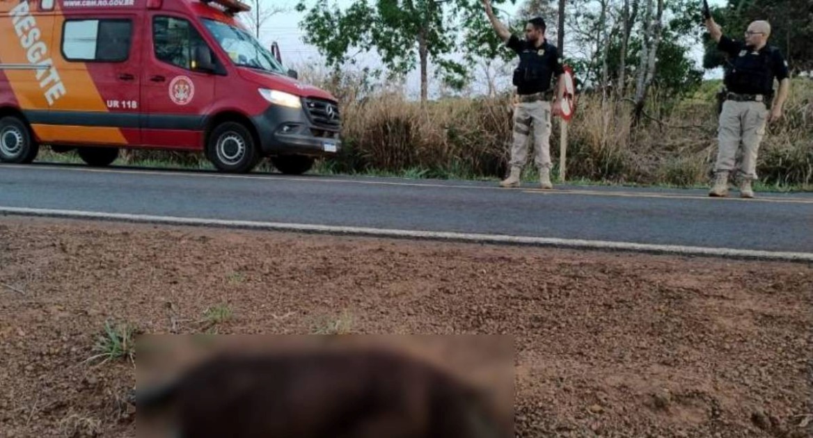 PERDEU O CONTROLE: Motociclista sofre grave acidente após atropelar capivara na BR