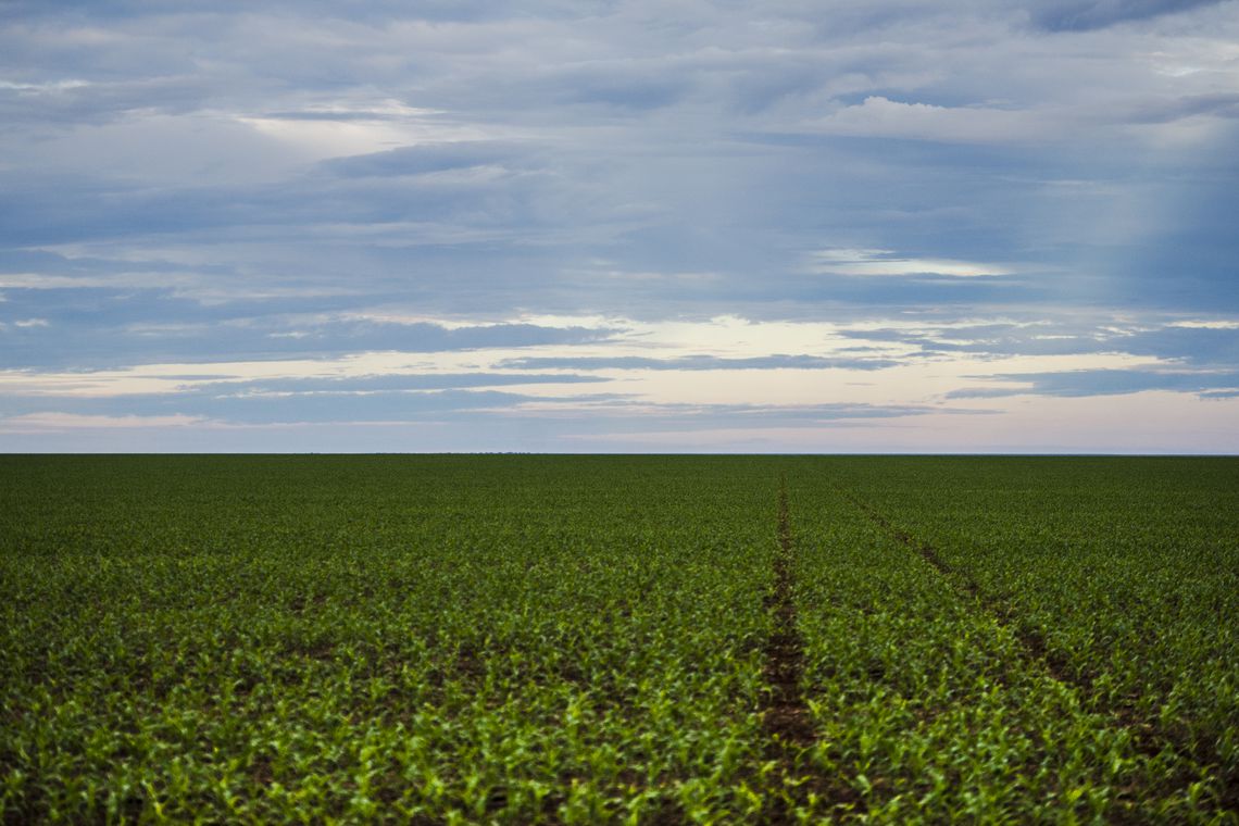 CONTROLE: Anvisa aprova marco regulatório dos agrotóxicos no país