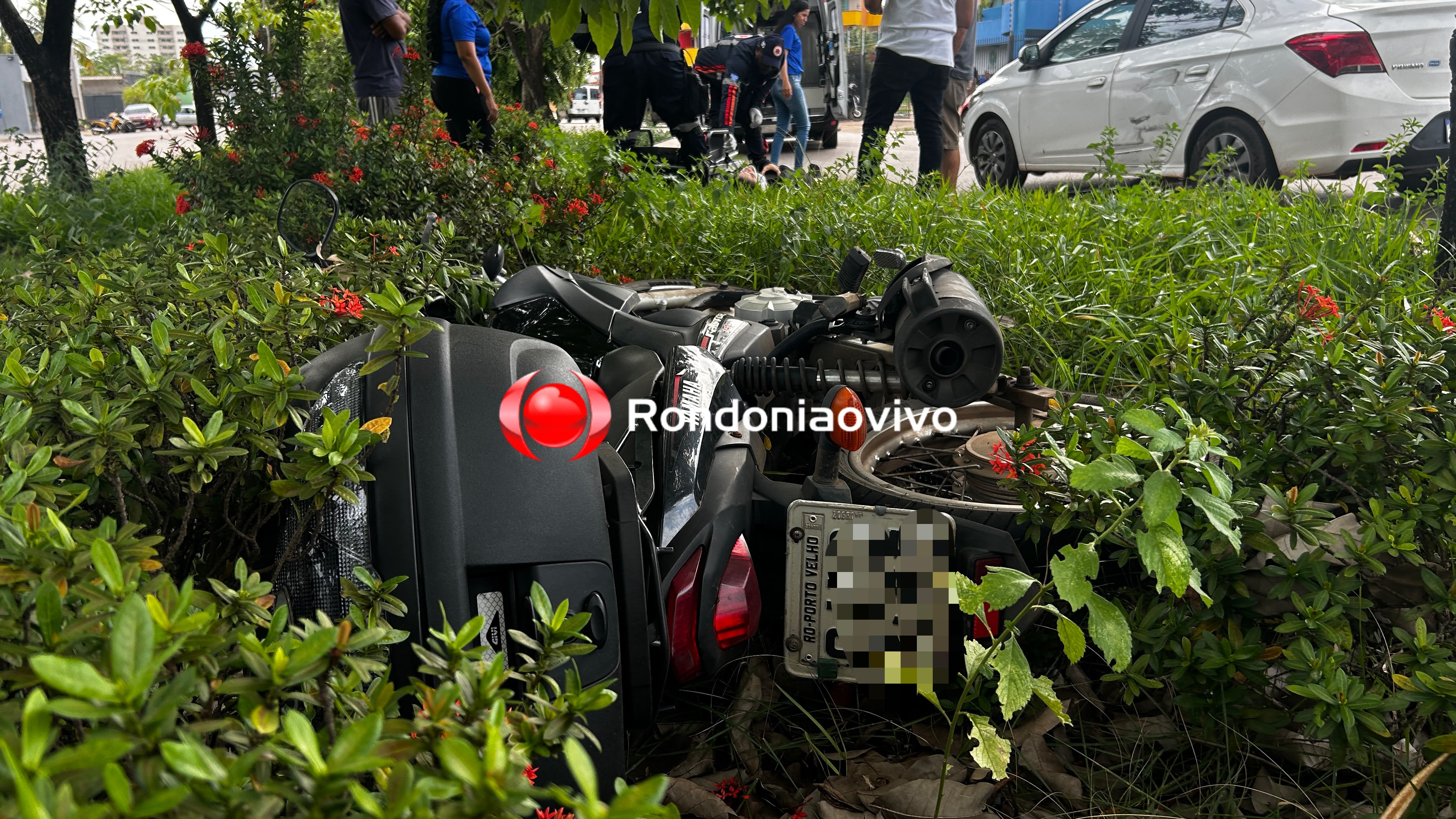 URGENTE: Mulher em motocicleta bate em árvore após colidir em carro