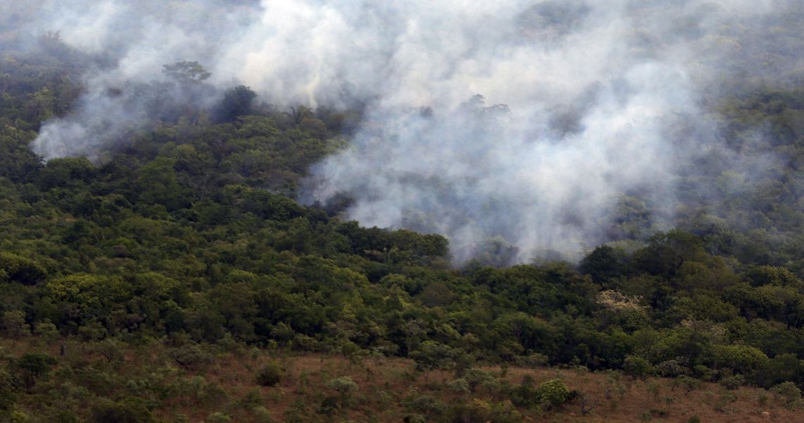 WHATSAPP: PF vai investigar grupo que teria planejado atear fogo a floresta