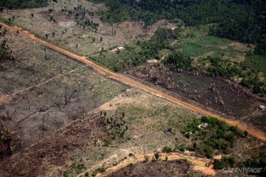 Desmate na Amazônia sobe 290% em setembro e Rondônia foi o Estado mais afetado