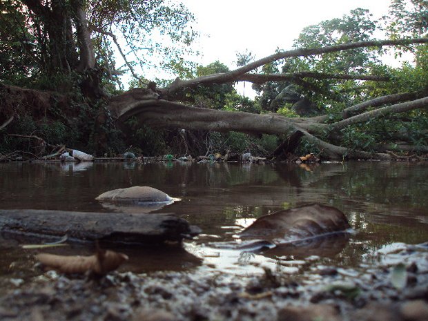 MAIOR SUFOCO: Espetáculo ‘Fofucha e o Peixoto do Rio Pirarara’ a partir desta sexta