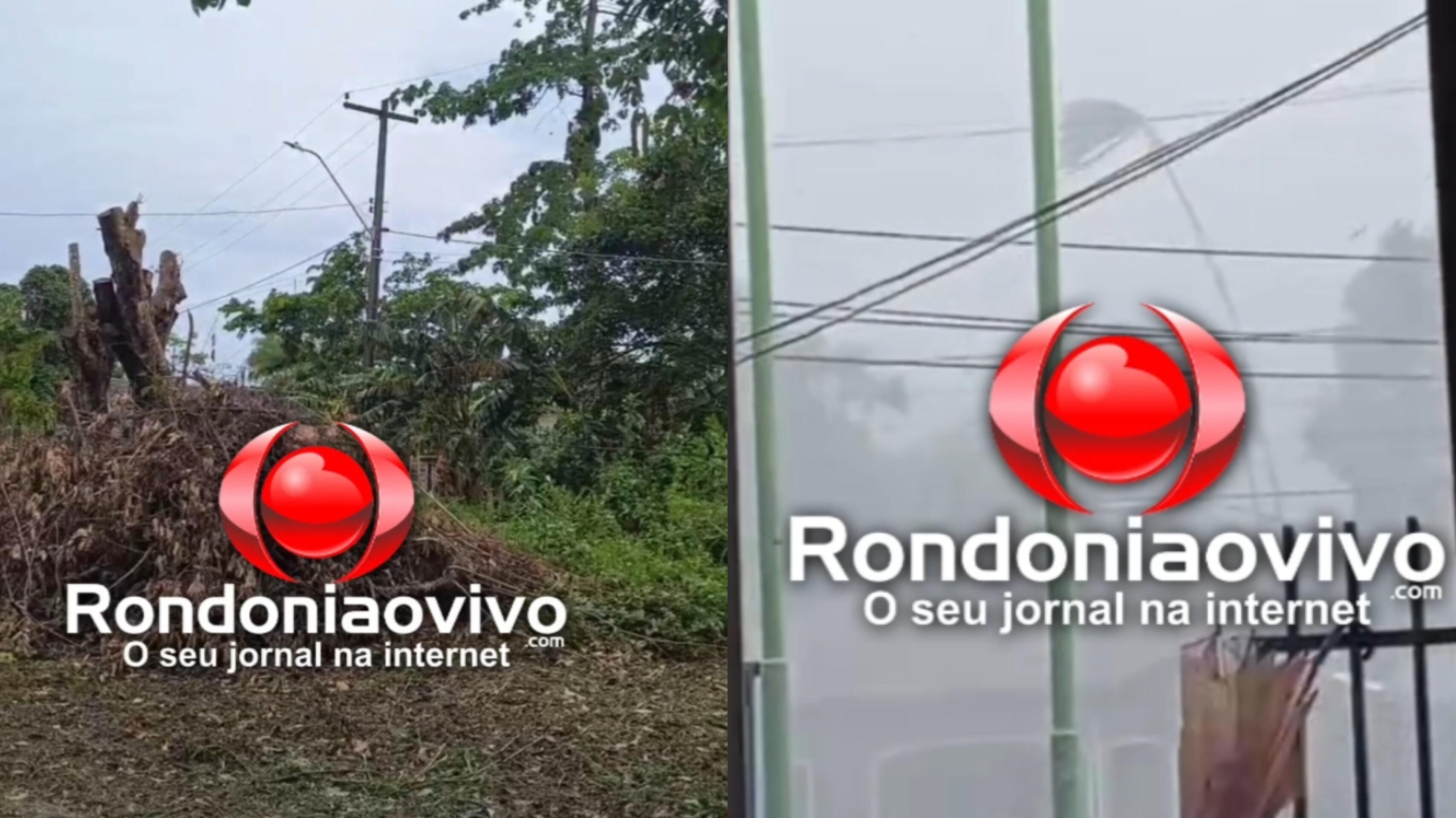 ASSISTA: Vento forte destelha casas, derruba árvores e deixa fiação energizada pelo chão 