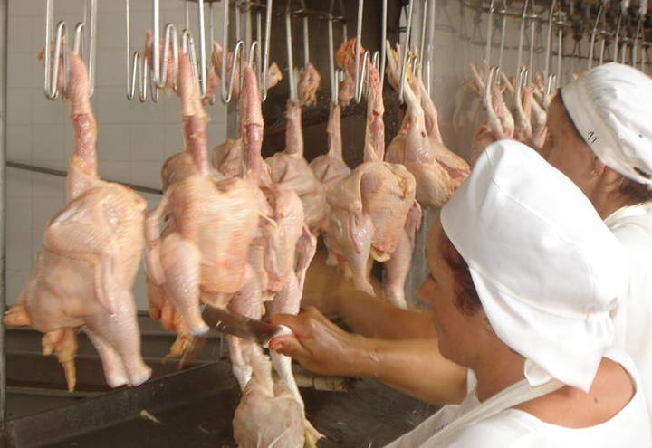 ABPA: Exportações totais de frango em março têm queda de 2,2%