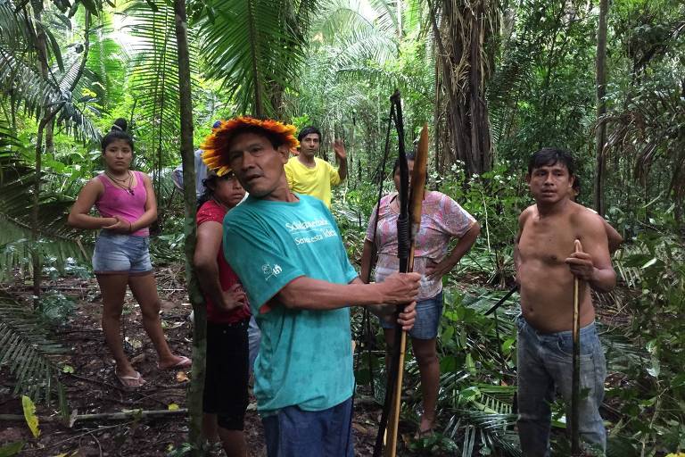 URU-EU-WAU-WAU: Terra indígena é invadida por grileiros em Rondônia