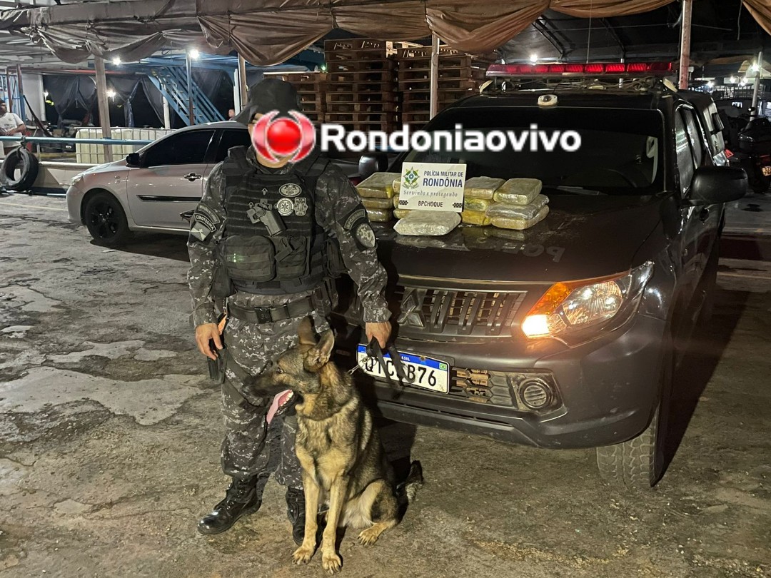 SKUNK: Polícia Militar apreende mais 18 quilos de drogas no Porto do Cai N'água 