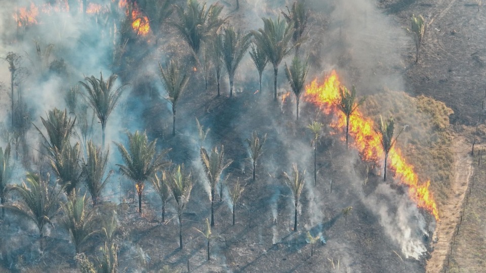 BOLETIM FEDERAL: El Niño forte ameaça Rondônia com seca severa e risco de incêndios até 2027