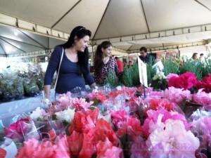 Feira de Flores de Holambra atrai visitantes em sua 8ª edição