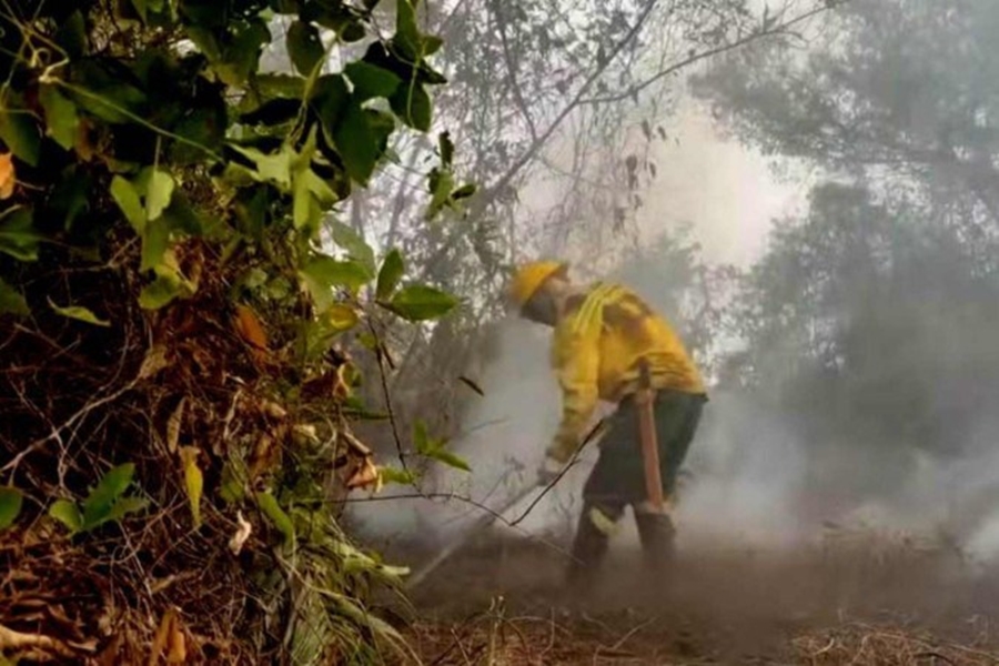 PERIGO: Brasil tem 7 estados sob alerta vermelho para baixa umidade do ar