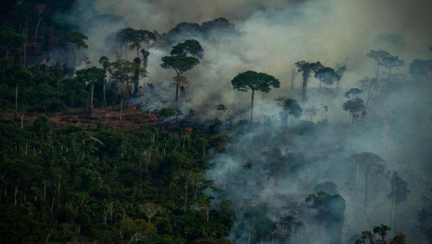 MEIO AMBIENTE: Desmatamento na Amazônia cresceu 56,6%, mostra levantamento