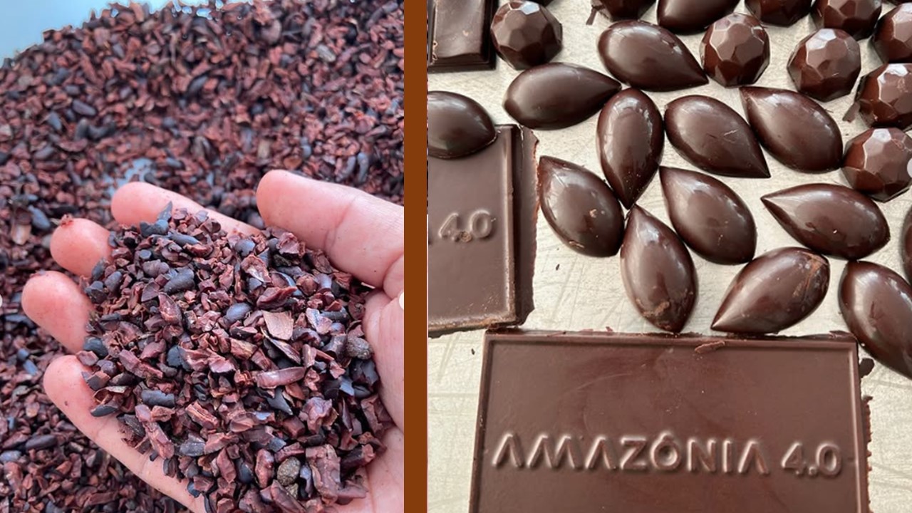 BIOECONOMIA: Indígenas Paiter Suruí transformam cacau e cupuaçu em chocolate de alto valor