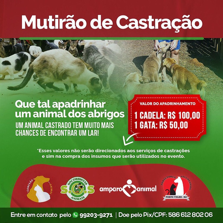 NA CAPITAL: União de Protetores Independentes pedem ajuda para castrar animais de abrigo