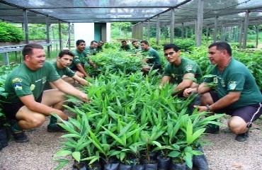 Polícia Militar Ambiental e IEL firmam parceria e implantam projeto de Neutralização de Carbono