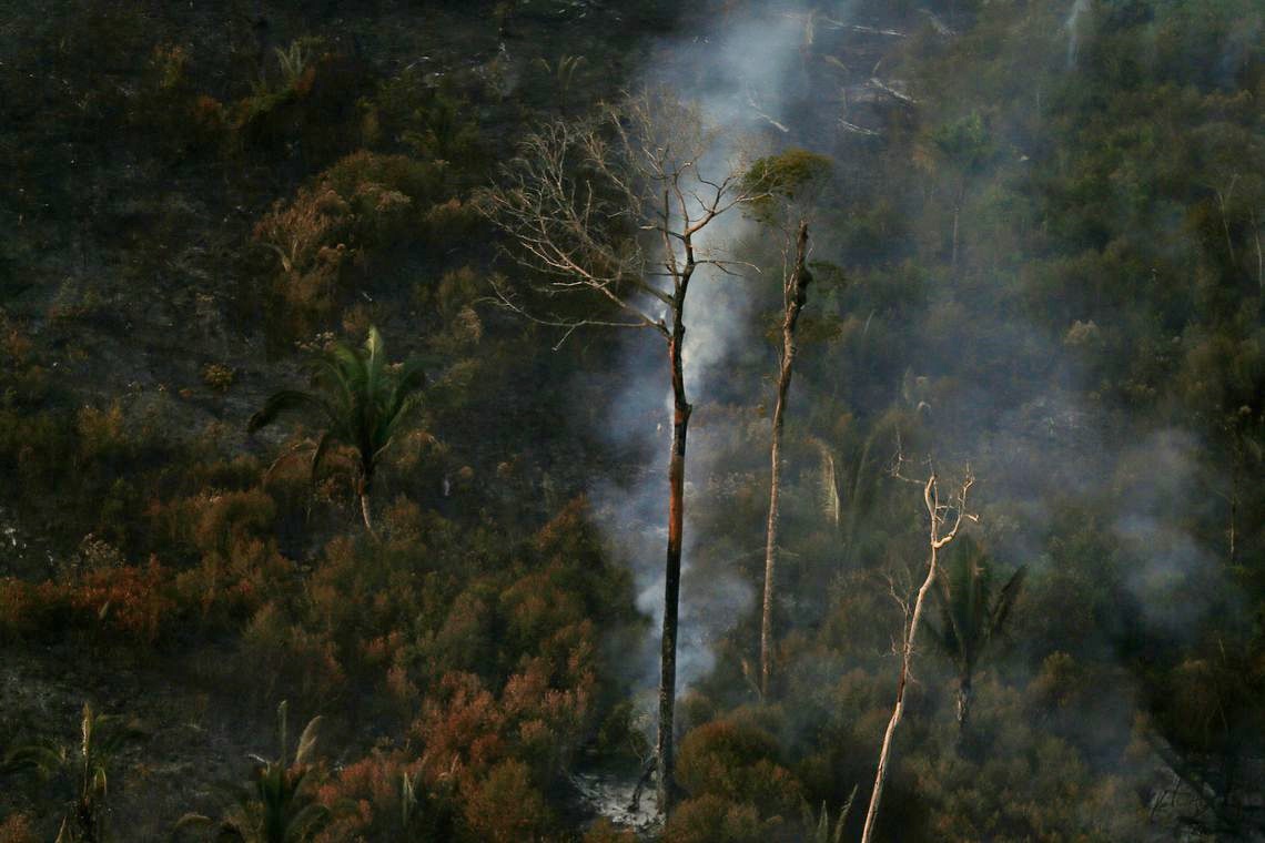 MEIO AMBIENTE: Procuradoria e AGU anunciam acordo de R$ 1 bi para Amazônia