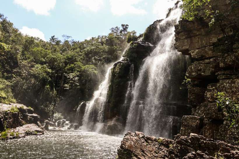 Porque Existem Hoje Reservas Florestais E Parques Nacionais