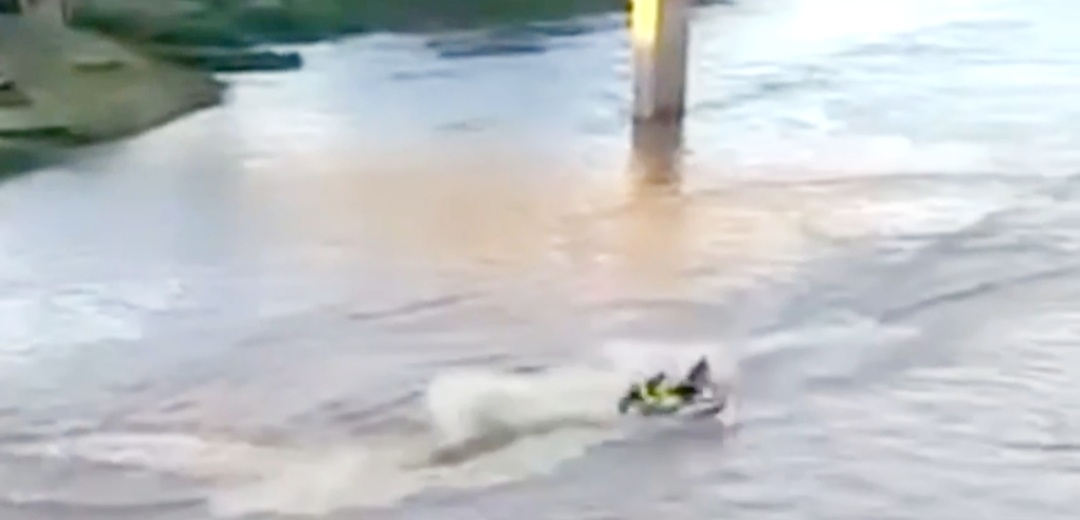 ACIDENTE AQUÁTICO: Vídeo mostra colisão entre jet skis no Rio Acre