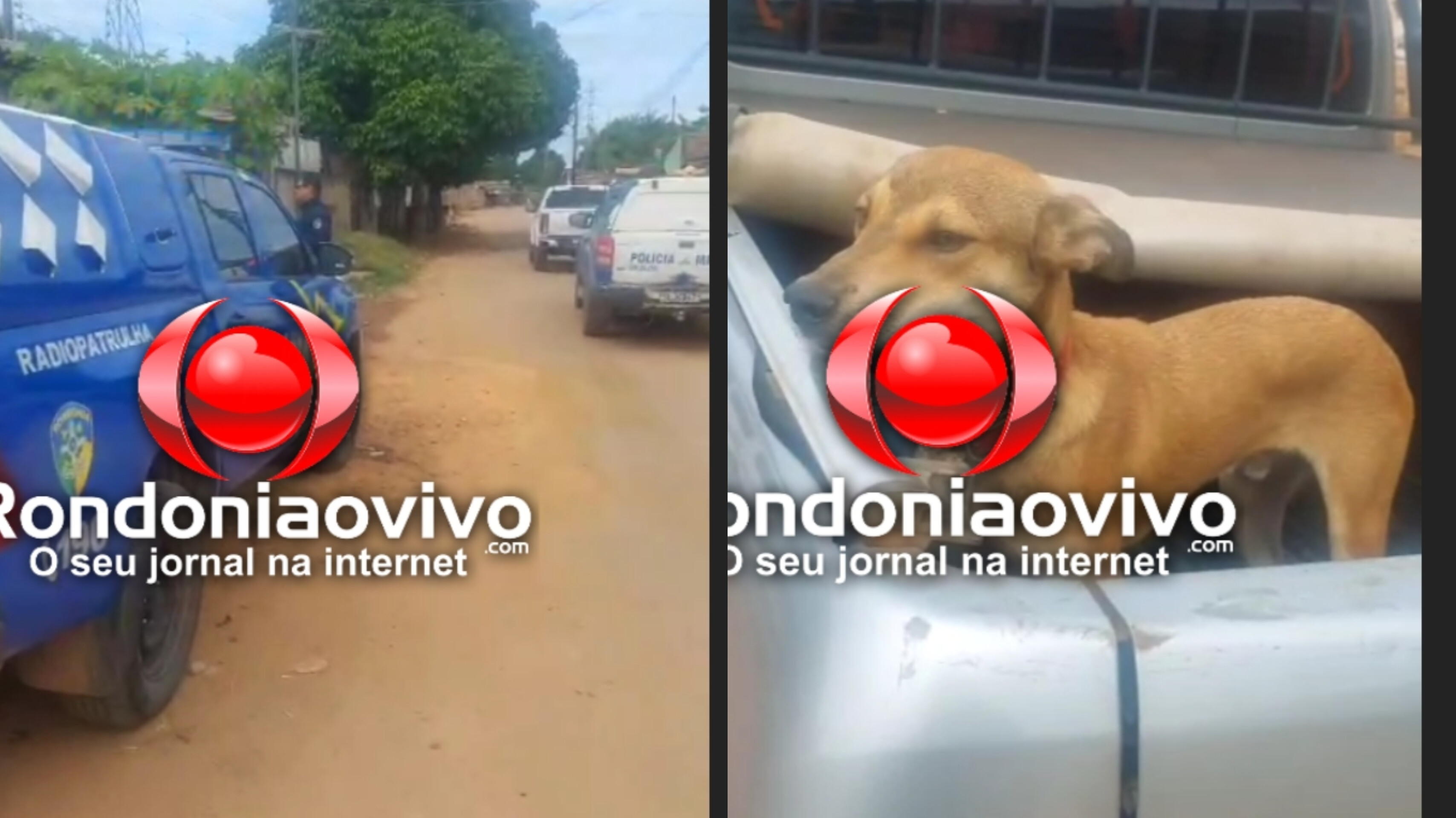 URGENTE: PM age rápido e prende homem que agrediu cachorro na zona Leste