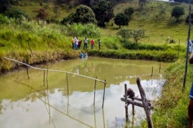 Corpo de agricultor é encontrado em tanque de peixe