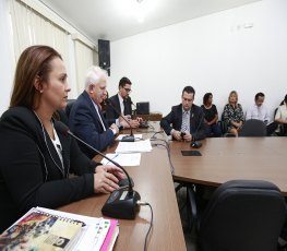 Airton Gurgacz relata ações durante reunião da Comissão da Criança e do Idoso