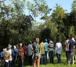 Agricultores participam de intercâmbio do Semeando Sustentabilidade