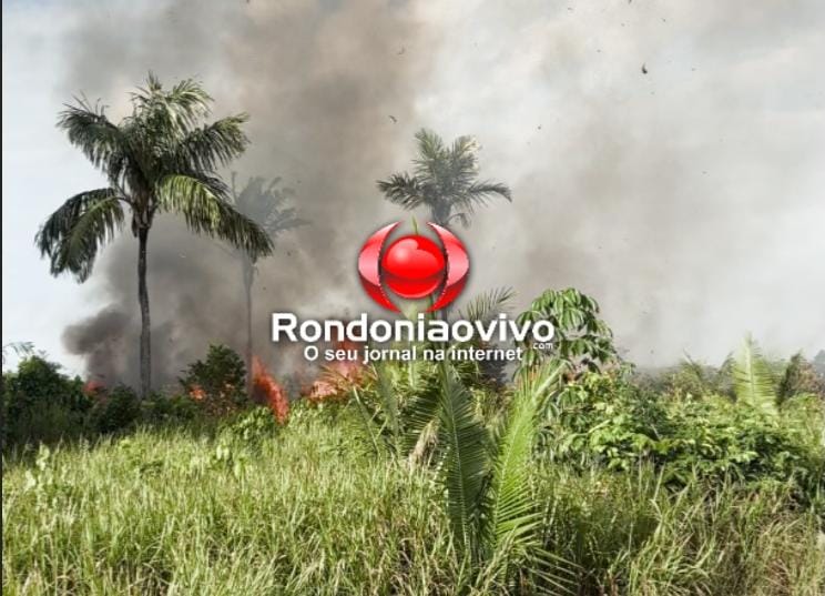 VÍDEO: Bombeiros tentam controlar incêndio próximo ao Espaço Alternativo