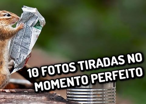 10 fotos tiradas no momento perfeito