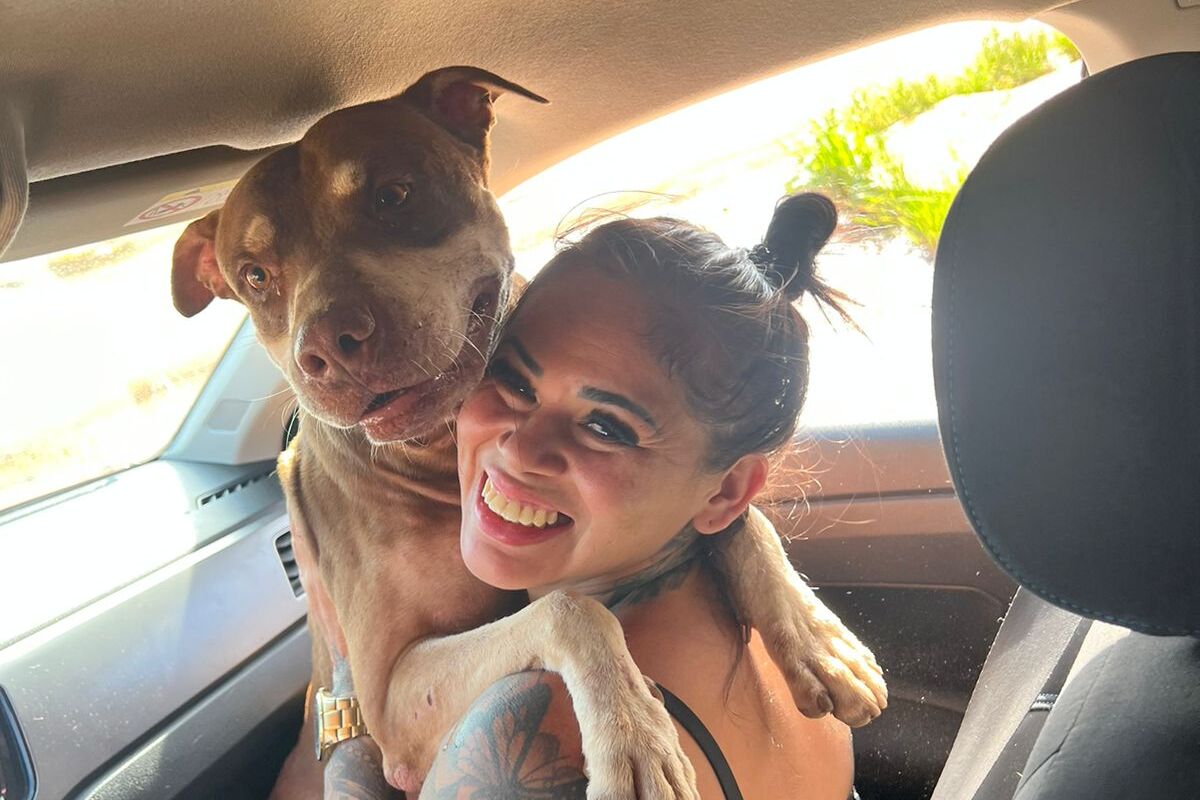 FINAL FELIZ: Após reportagem do Rondoniaovivo, tutora re-encontra pitbull desaparecido