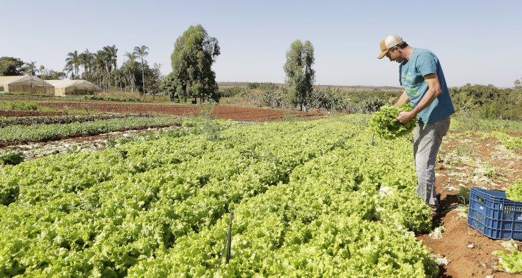 SUPORTE: Governo repassa crédito de R$ 220 milhões para agricultura familiar