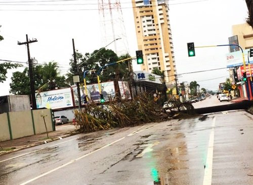 Forte temporal derruba árvores em cruzamento de Porto Velho