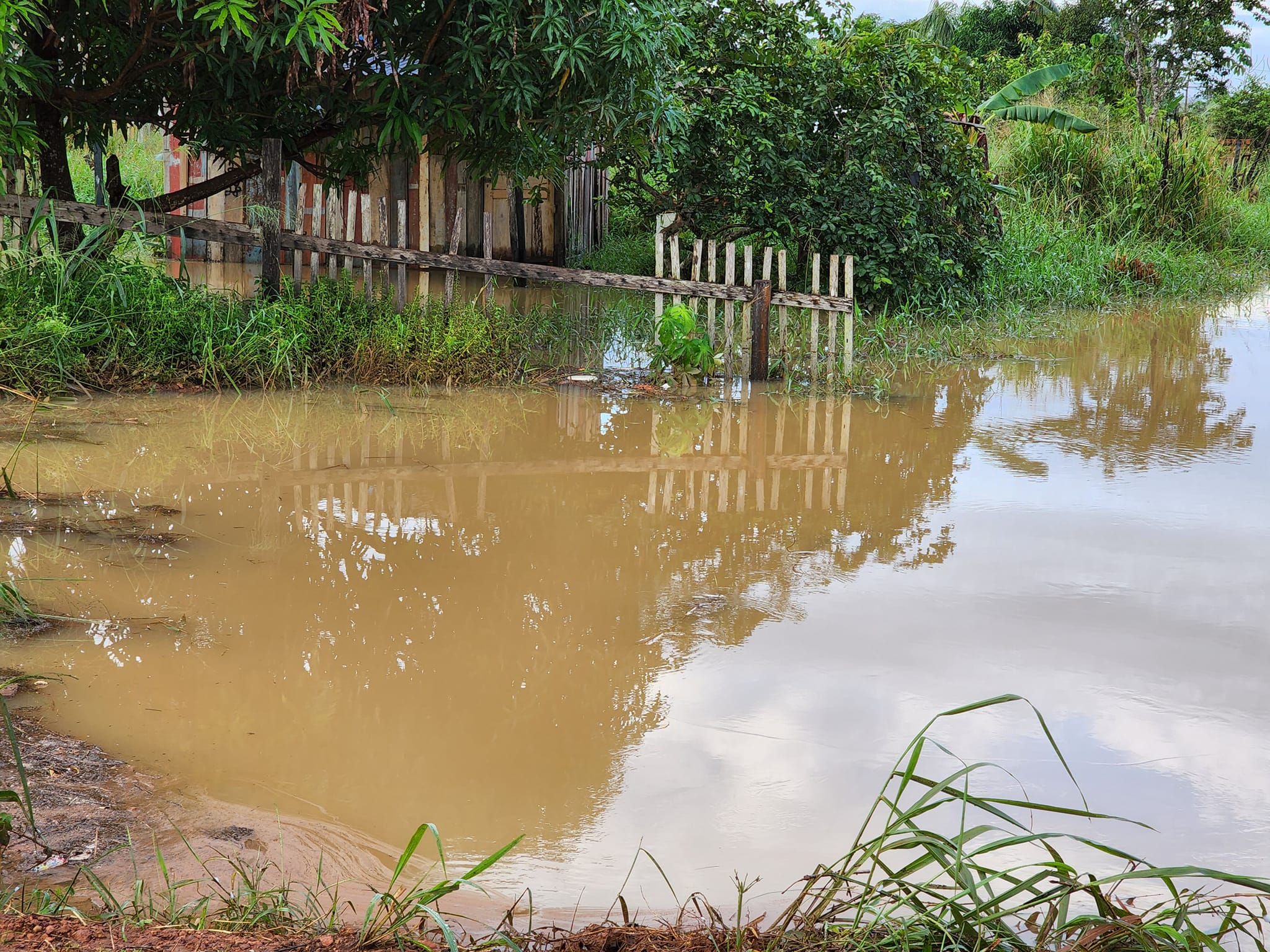 DESESPERO: Córrego transborda e invade casas de famílias na zona Leste: ''tá tudo alagado''
