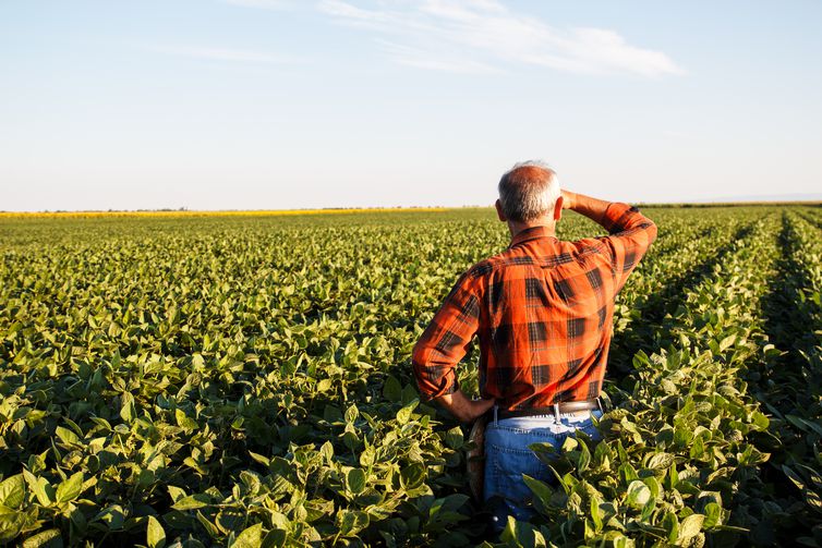 CORRERIA: Prazo para produtor rural declarar ITR termina hoje