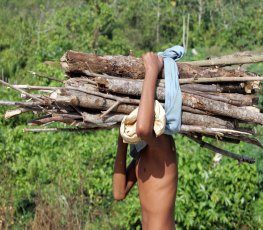 UE quer que Brasil elimine trabalho escravo como parte de acordo comercial