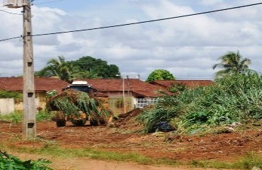 CENA DA CIDADE - Após denúncia secretário manda limpar terreno baldio no Jardim das Mangueiras – Fotos